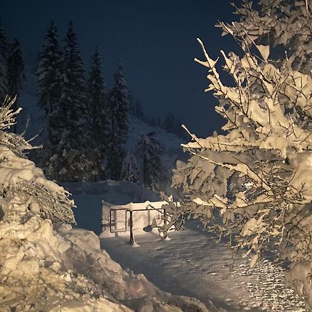 Dellach im DrautalAlmen-Kraeuter-Oberreiterアパートメント エクステリア 写真
